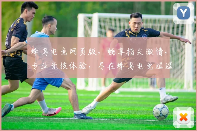 蜂鸟电竞网页版，畅享指尖激情，专业竞技体验，尽在蜂鸟电竞逗逗逗