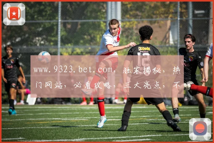 www.9323.bet.com，独家揭秘，热门网站，必看攻略，三大亮点，不容错过