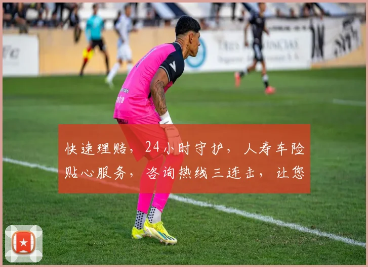 快速理赔，24小时守护，人寿车险贴心服务，咨询热线三连击，让您无忧出行