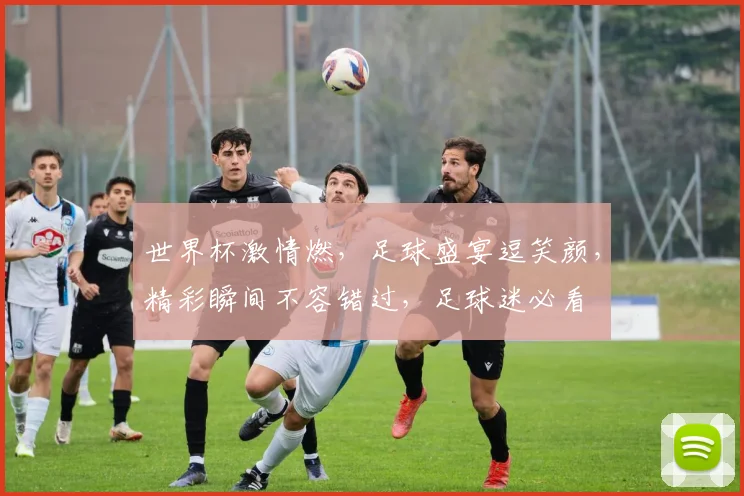 世界杯激情燃，足球盛宴逗笑颜，精彩瞬间不容错过，足球迷必看