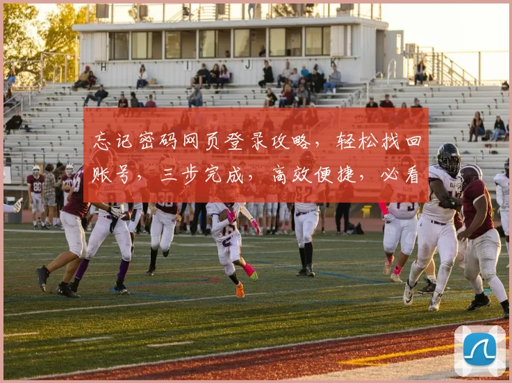 忘记密码网页登录攻略，轻松找回账号，三步完成，高效便捷，必看