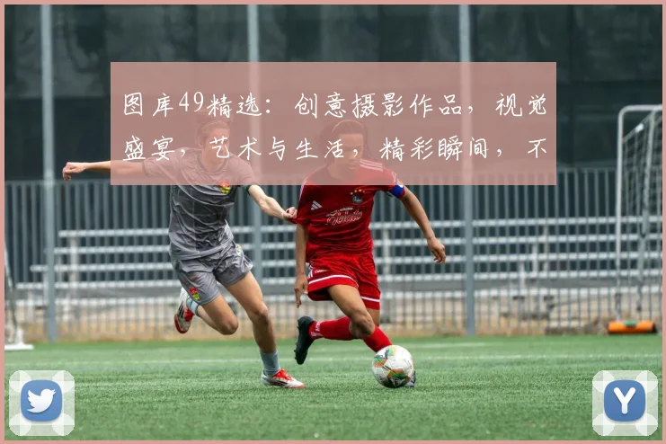图库49精选：创意摄影作品，视觉盛宴，艺术与生活，精彩瞬间，不容错过